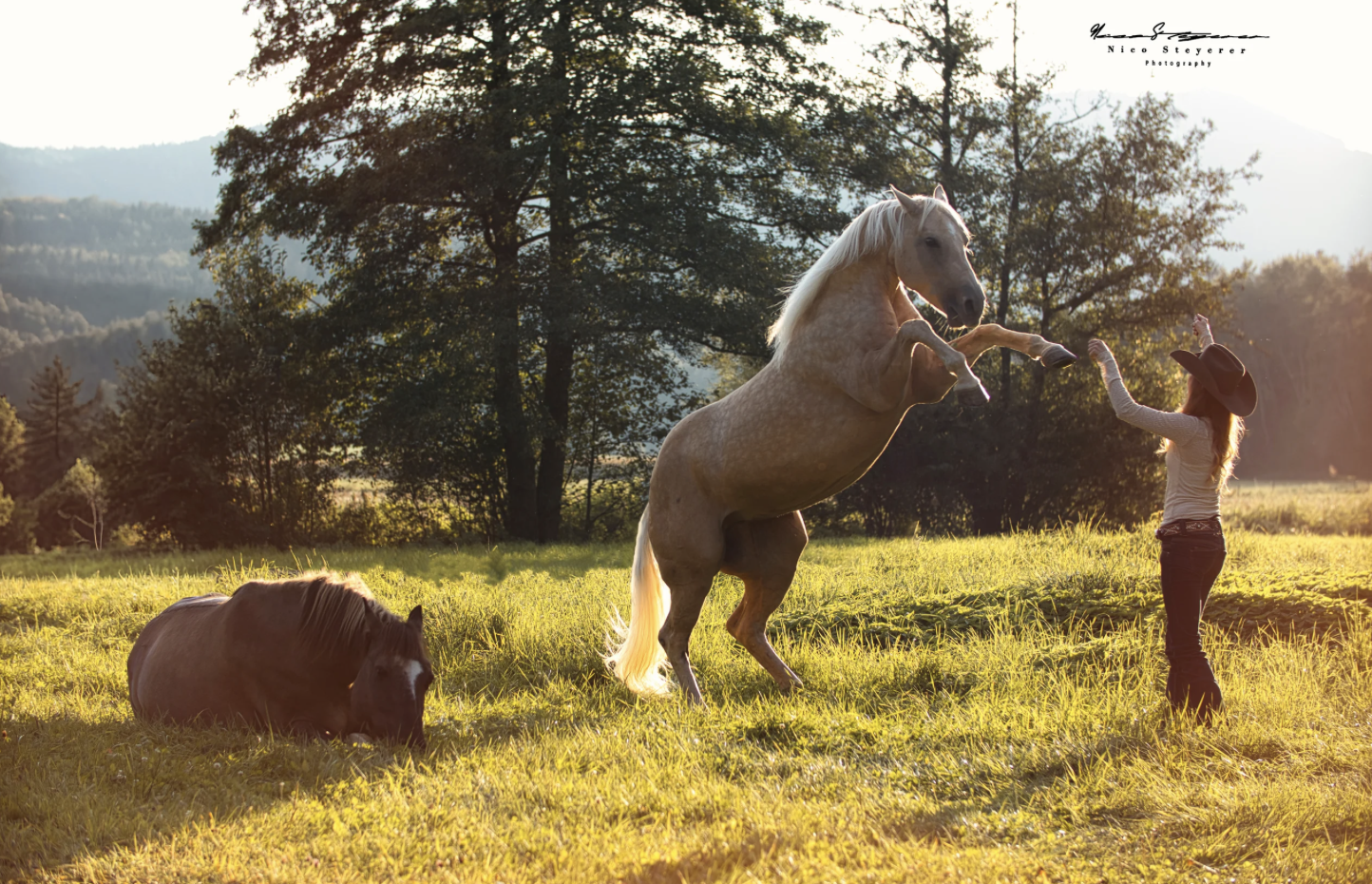 Bildschirmfoto 2025-11-11 um 08.36.45